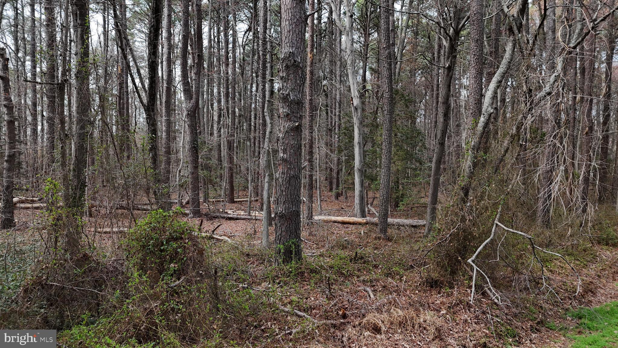 20767 Abell Road Avenue, MD 20609 - Photo 6 of 8