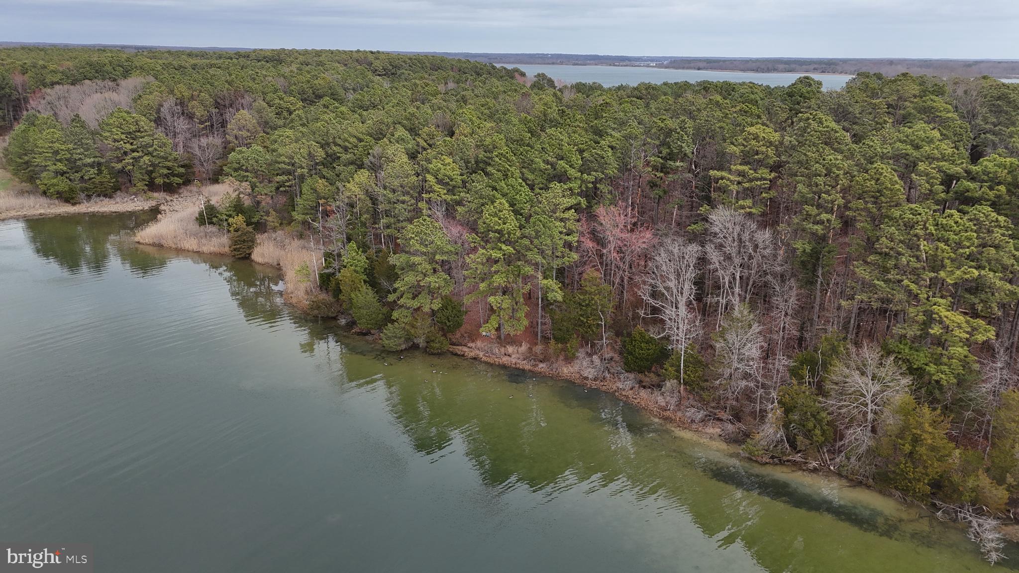 20767 Abell Road Avenue, MD 20609 - Photo 8 of 8