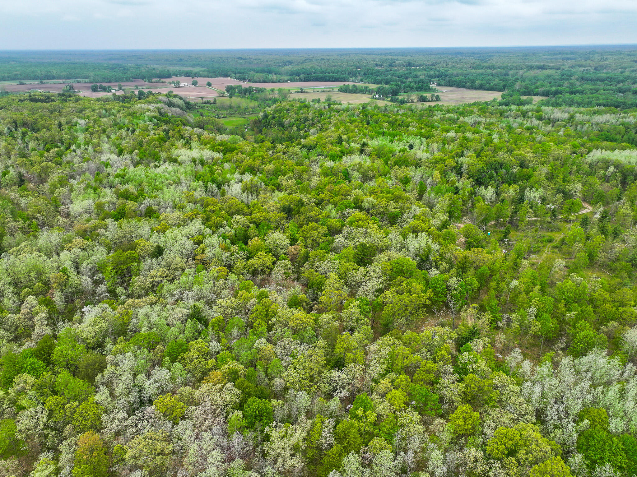 12.19 Rapp Drive Twin Lake, MI 49457 - Photo 2 of 48 DJI_20260512131616_0511_D