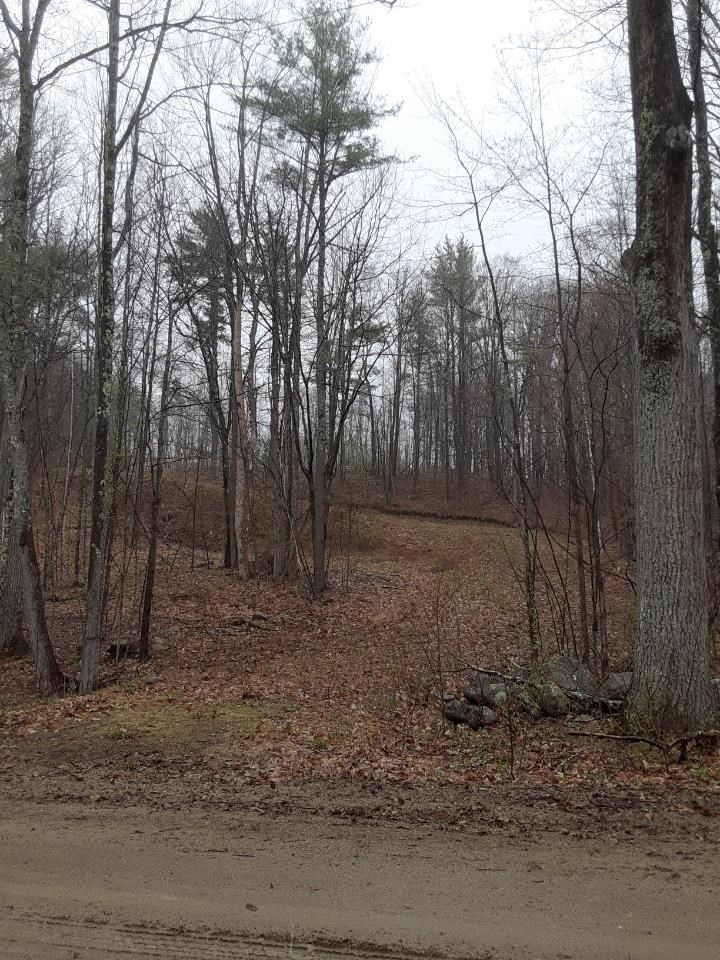 M1-l52s3 Garland Road Barnstead, NH 03218 - Photo 3 of 10