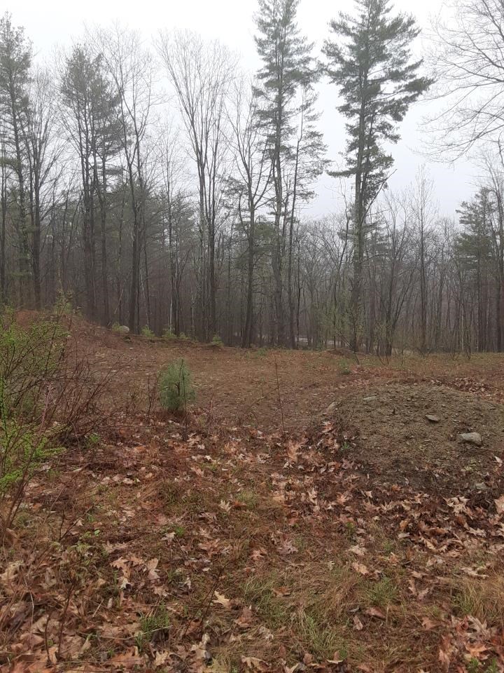 M1-l52s3 Garland Road Barnstead, NH 03218 - Photo 6 of 10