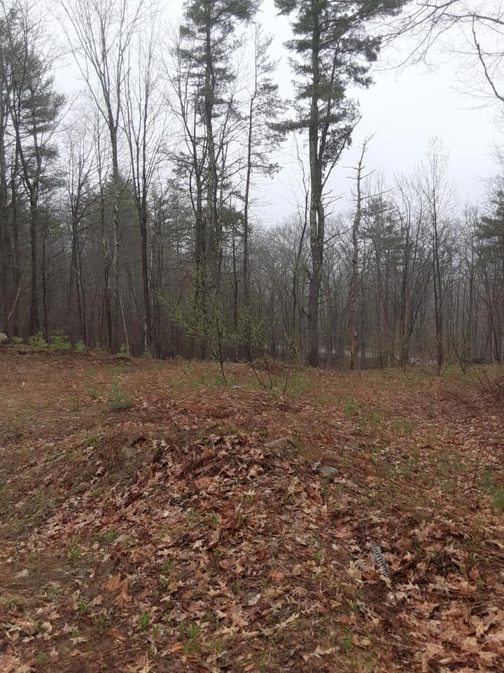 M1-l52s3 Garland Road Barnstead, NH 03218 - Photo 10 of 10