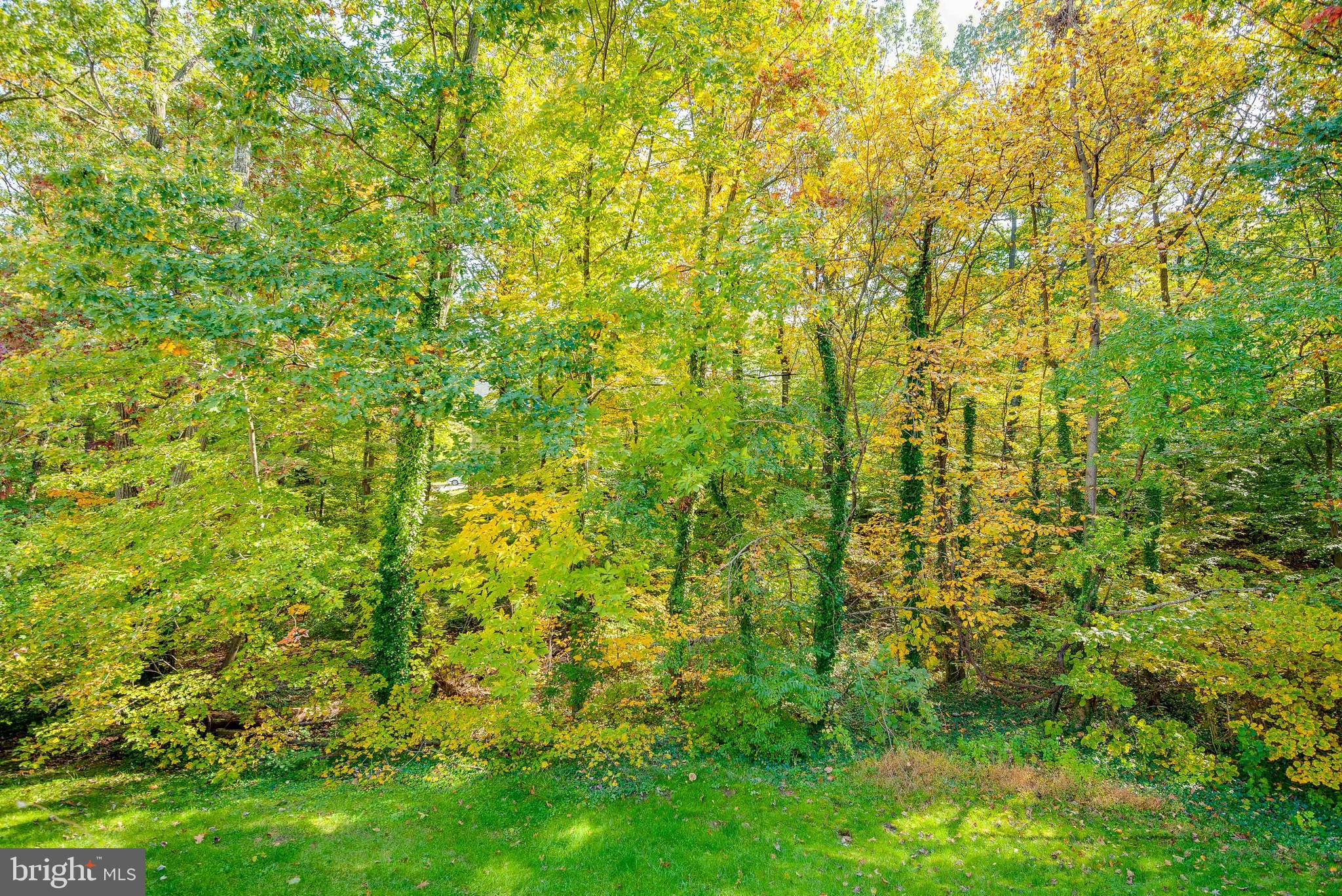1149 Ingate Road Baltimore, MD 21227 - Photo 40 of 40 Gallery Image 40