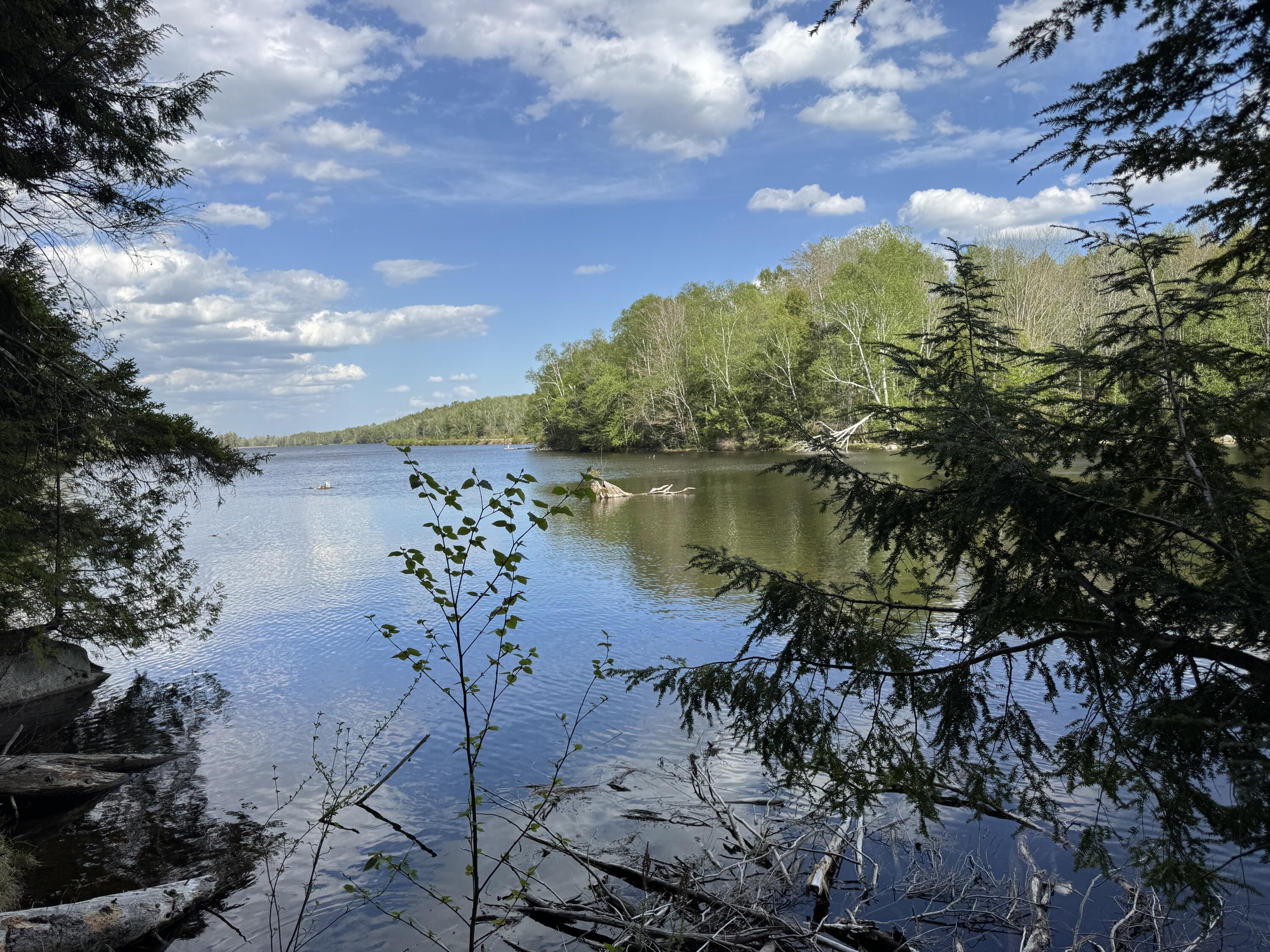 0 Elbow Lake Road Millinocket, ME 04462 - Photo 20 of 33 IMG_0409