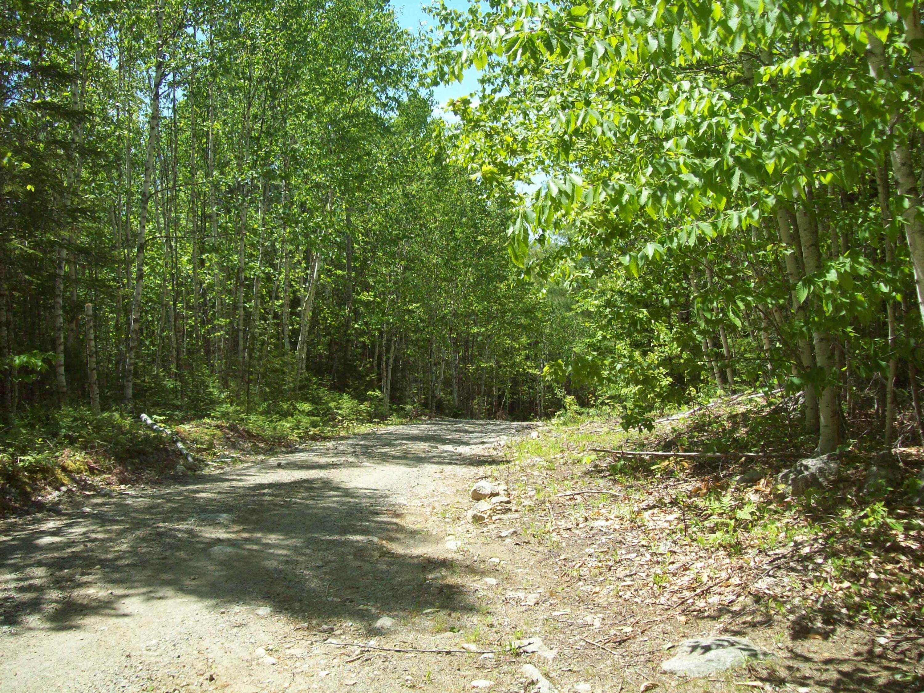 Tbd Tbd Birch Hill Road Lakeville, ME 04487 - Photo 8 of 27 100_1924