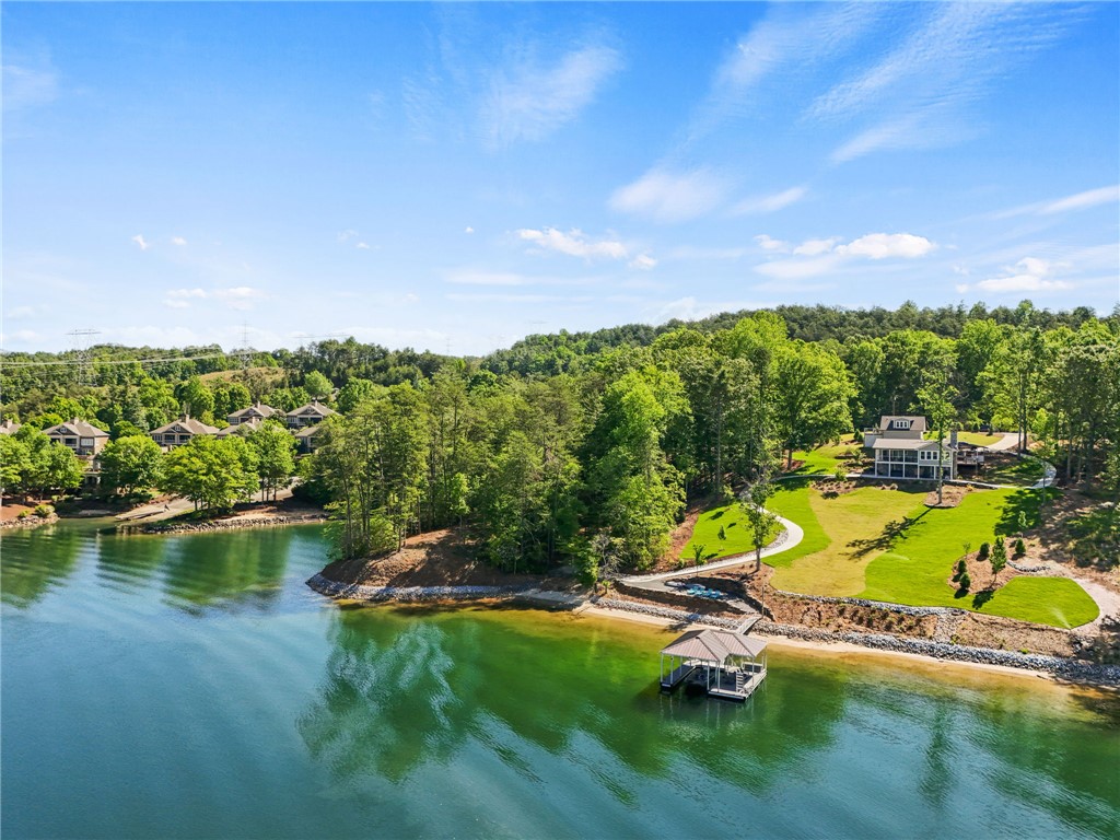 Lot 2 Johnson Drive Sunset, SC 29685 - Photo 4 of 22