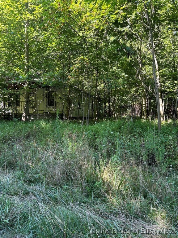 10692 North Haleysburg Road Vallonia, IN 47281 - Photo 5 of 7