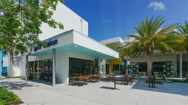 a view of a park with large trees