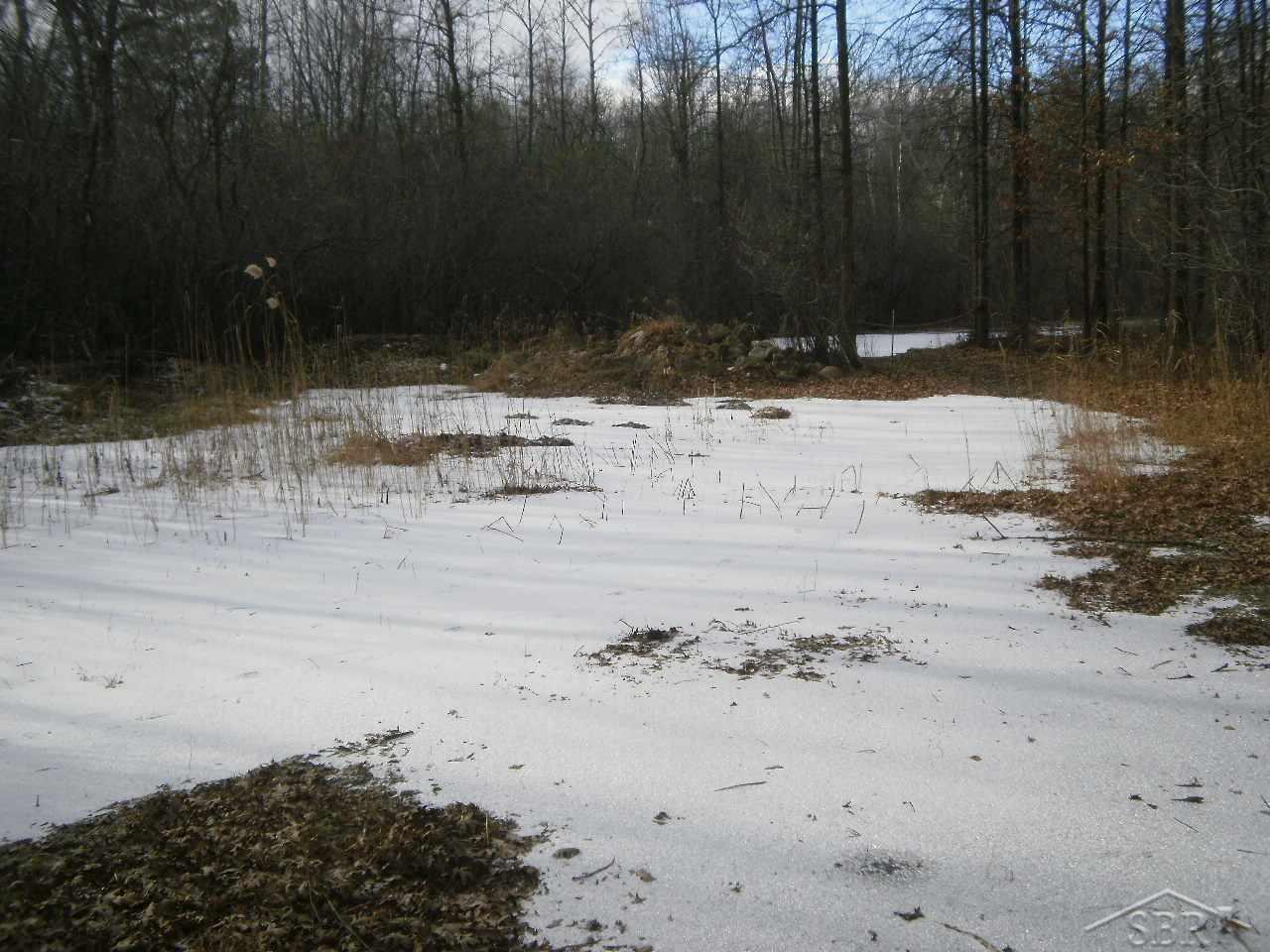 Pettit Road Birch Run, MI 48415 - Photo 7 of 10 31310371-6.JPG