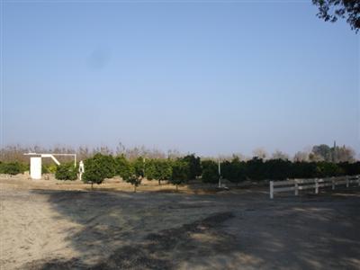 1650 South Rainbow Route Sanger, CA 93657 - Photo 20 of 35 Gallery Image 20