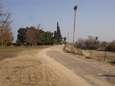 1650 South Rainbow Route Sanger, CA 93657 - Photo 24 of 35 Gallery Image 24