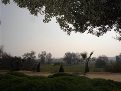 1650 South Rainbow Route Sanger, CA 93657 - Photo 31 of 35 Gallery Image 31