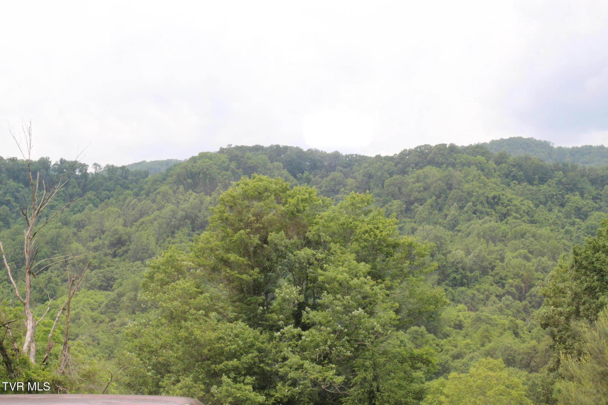 235 Fisher Road Jonesville, VA 24263 - Photo 82 of 136 IMG_5911