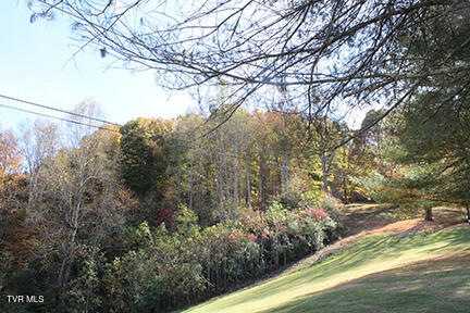 235 Fisher Road Jonesville, VA 24263 - Photo 95 of 136 IMG_2056