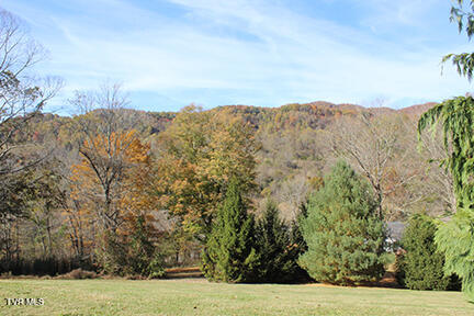 235 Fisher Road Jonesville, VA 24263 - Photo 100 of 136 IMG_2067