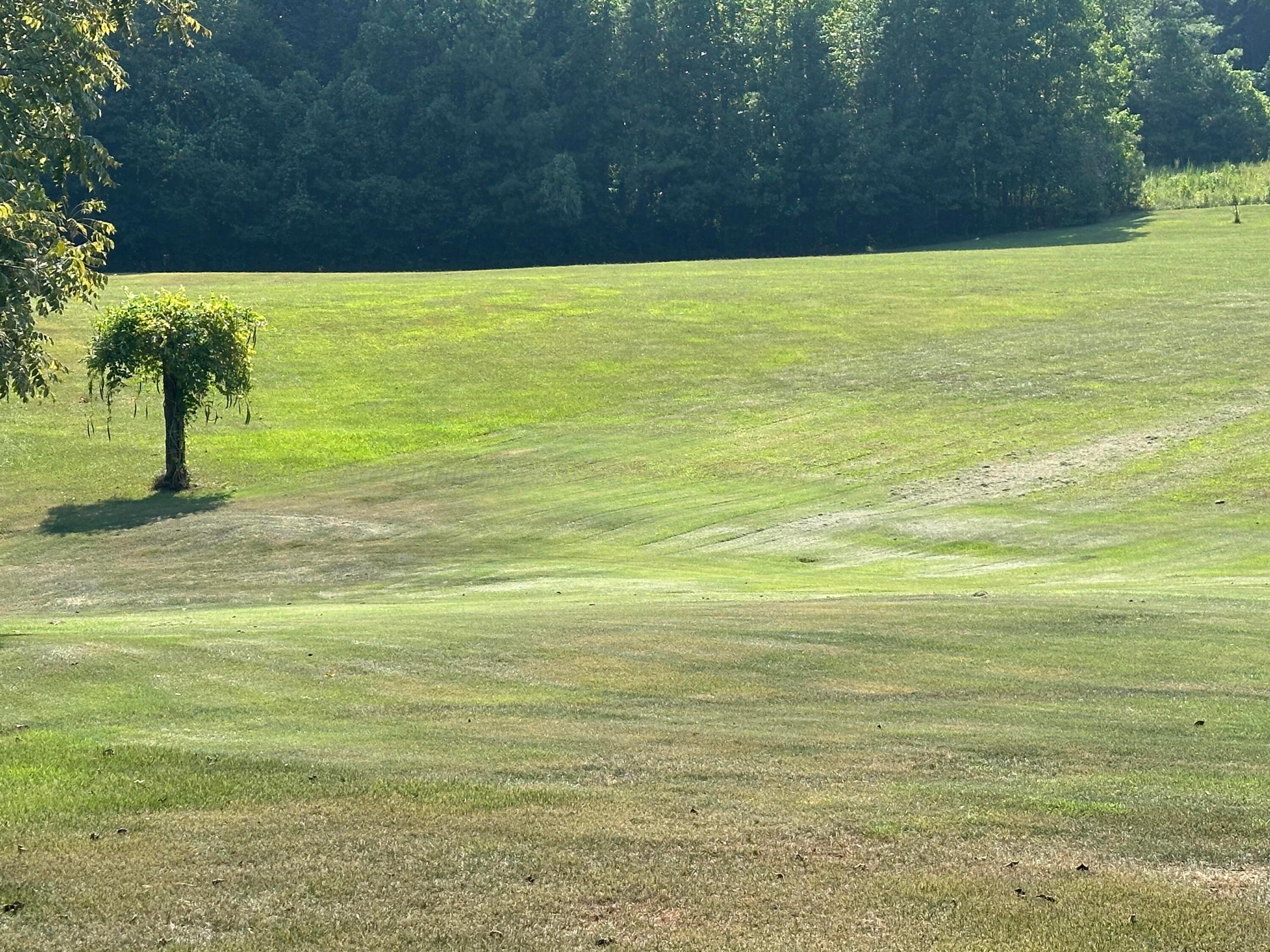 4633 Redmill Saragossa Road Nauvoo, AL 35578 - Photo 4 of 20 Gallery Image 4
