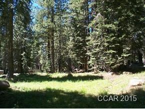 1334 Spring Valley Road Arnold, CA 95223 - Photo 1 of 1 Gallery Image 1