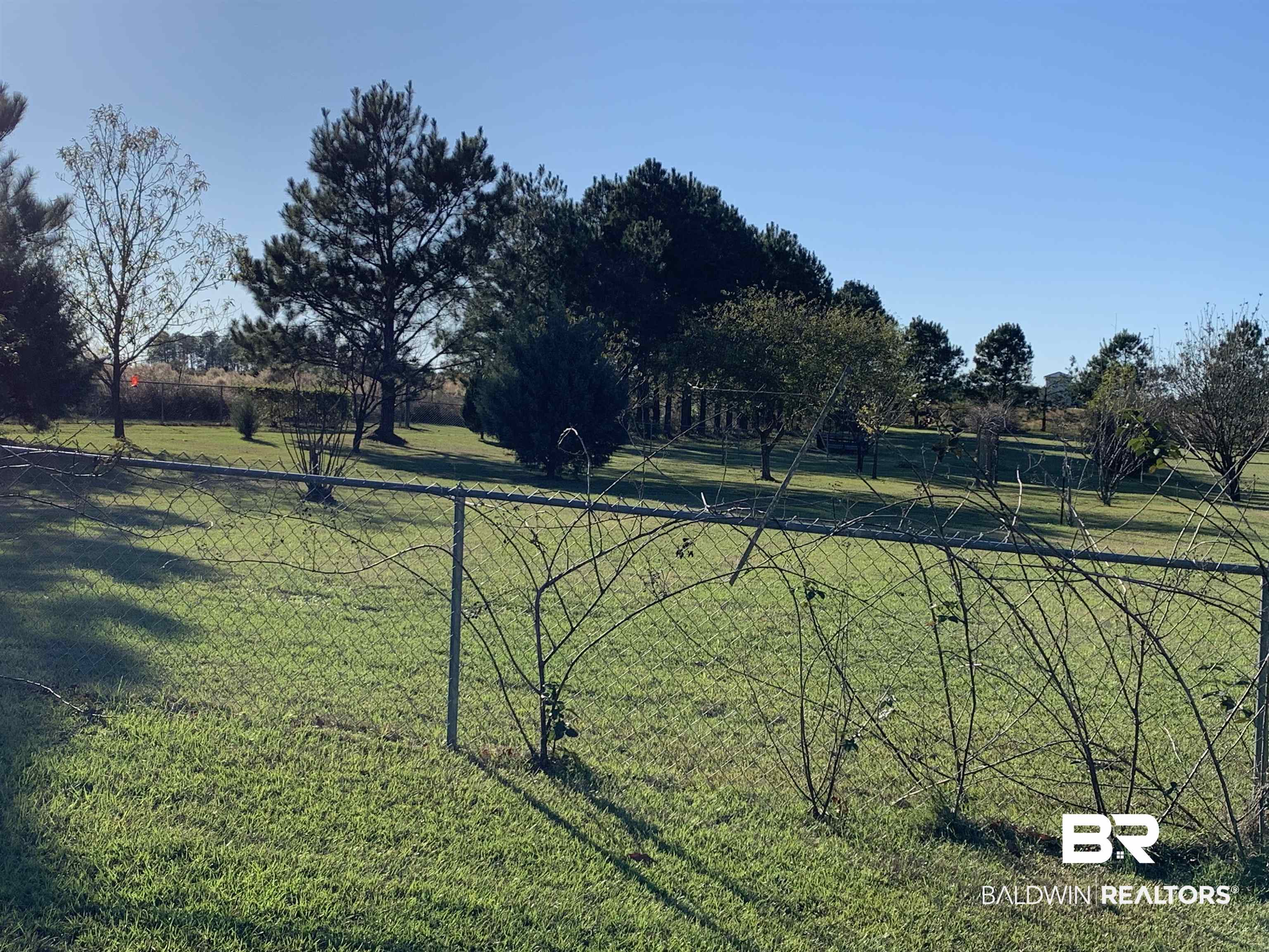 13248 J B Williams Road Loxley, AL 36551 - Photo 42 of 46