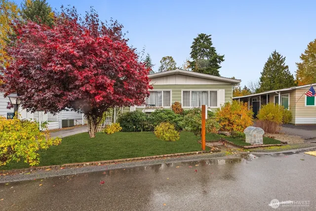 a white house with a tree in front of it
