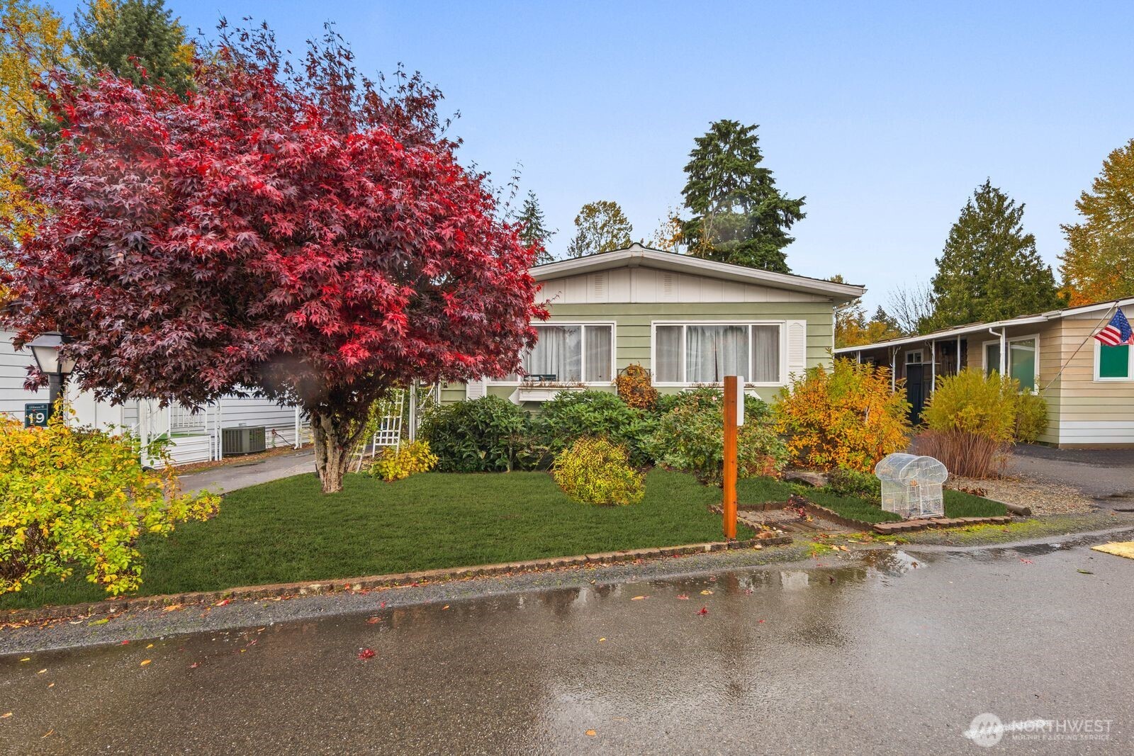 a white house with a tree in front of it