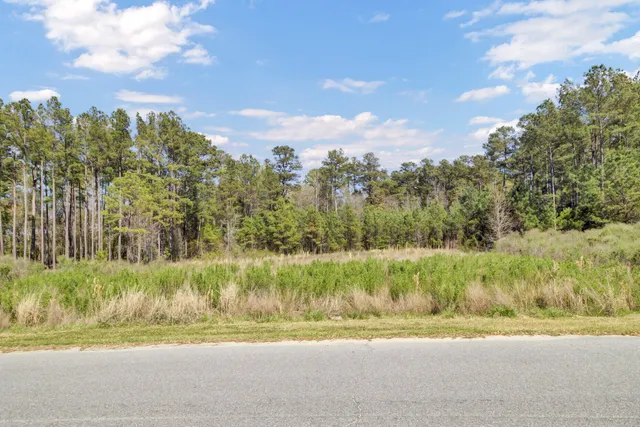 $169,975 | 1319 Wood Sorrel Drive, Moncks Corner, SC 29461