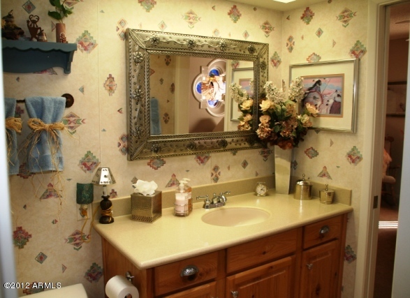 18534 East Parada Circle Rio Verde, AZ 85263 - Photo 18 of 25 Guest Bath