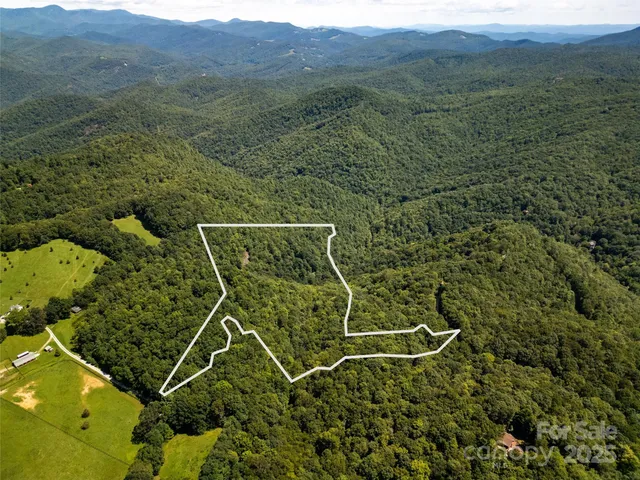 a view of a dry yard