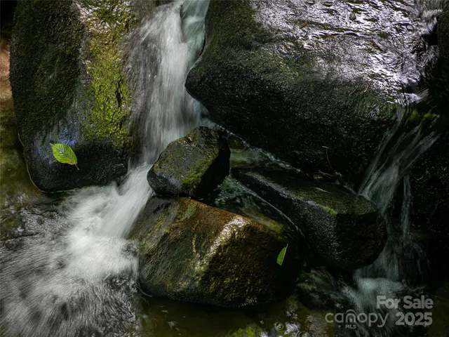 a view of a pond with lots of bushes