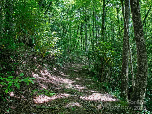 $1,500,000 | 0 North Robinson Creek Road, Glenville, NC 28736