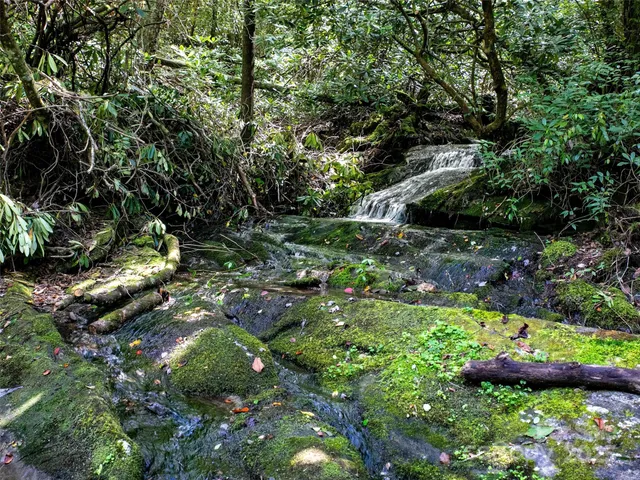 $1,500,000 | 0 North Robinson Creek Road, Glenville, NC 28736