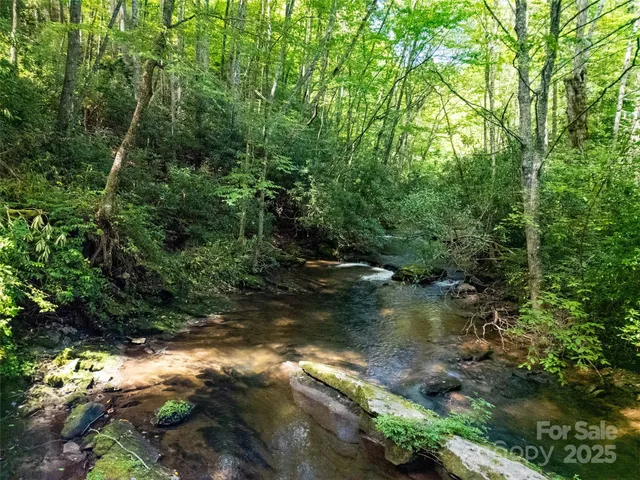 a view of a lake in a forest