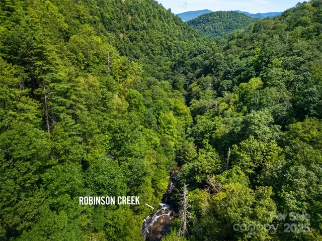 a view of a large yard with lots of bushes