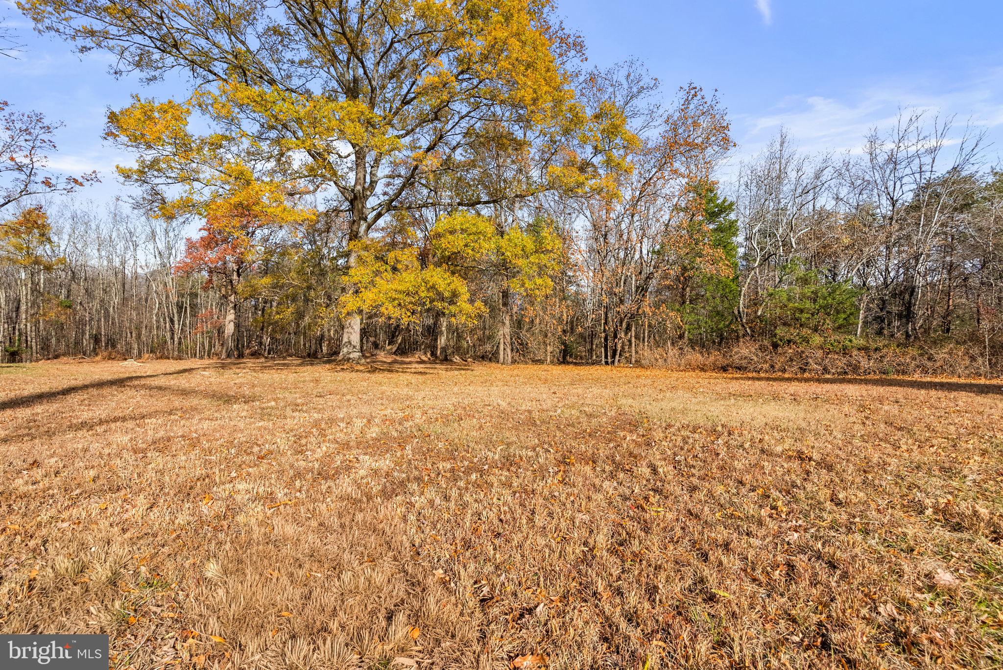 12101 Cherry Tree Crossing Road Brandywine, MD 20613 - Photo 24 of 40 Exterior