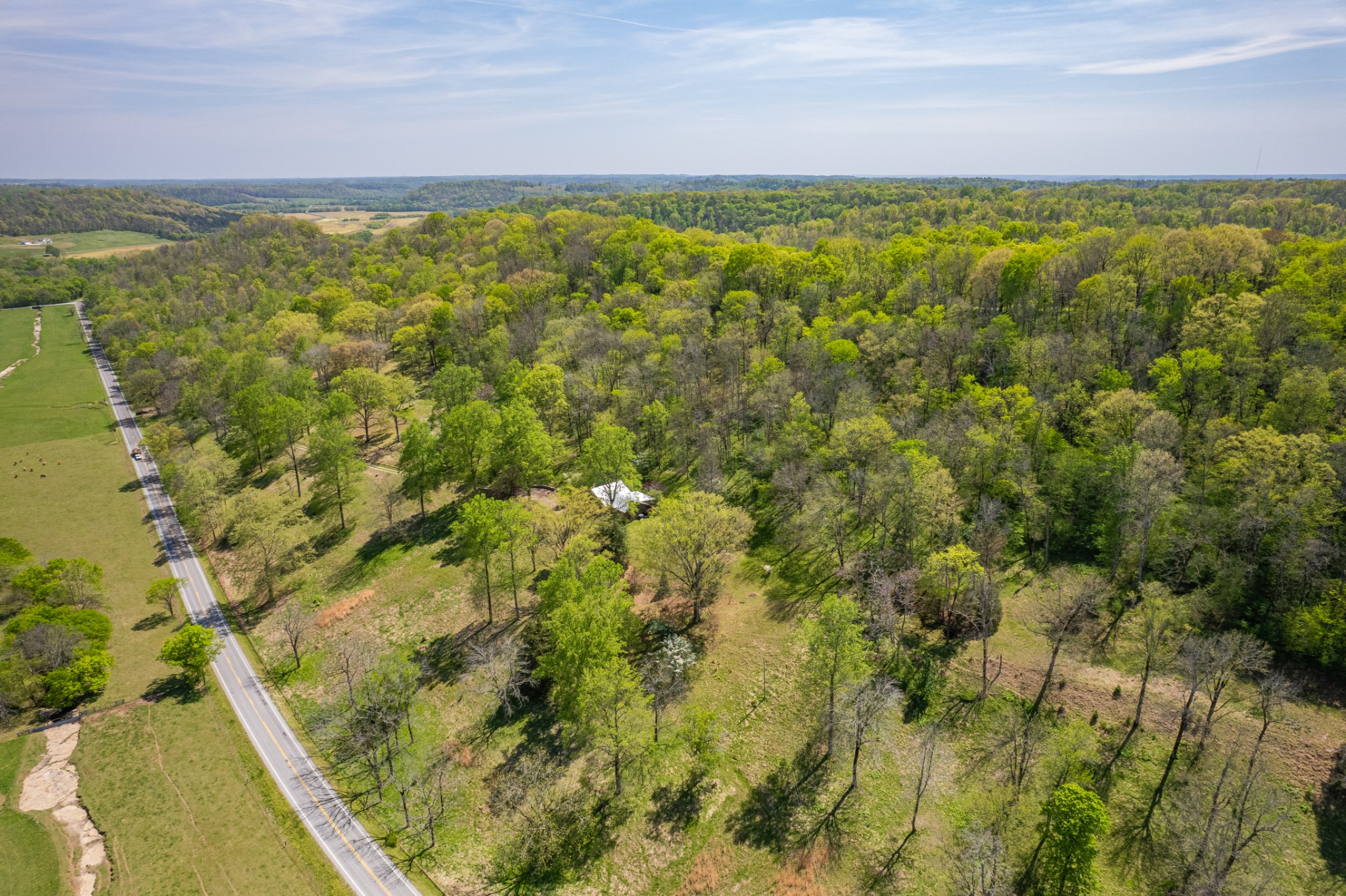 8039 Campbellsville Road Pulaski, TN 38478 - Photo 63 of 100
