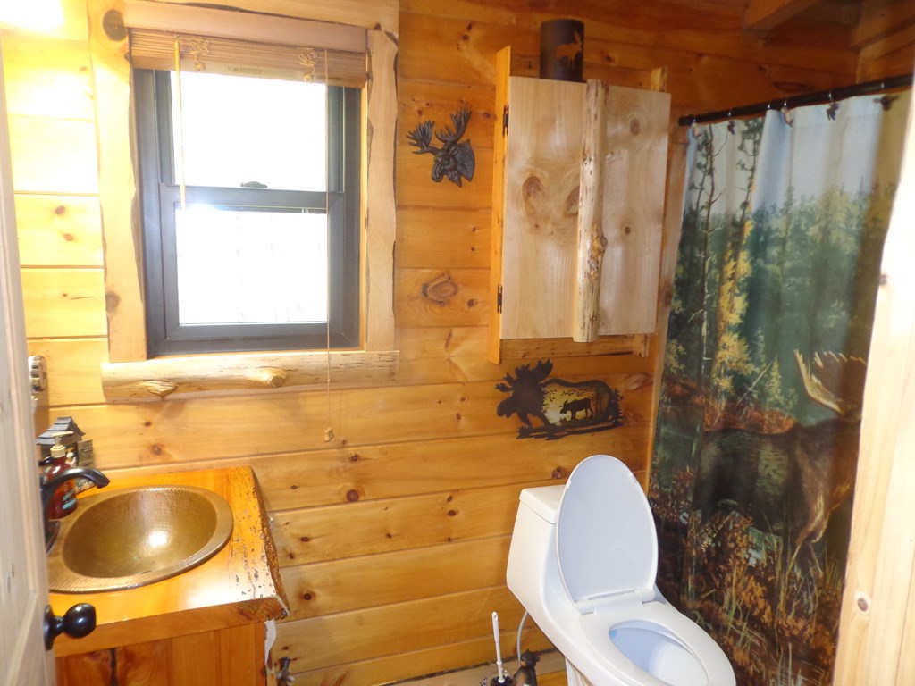 84 Victory Ridge Road Morganton, GA 30560 - Photo 27 of 66