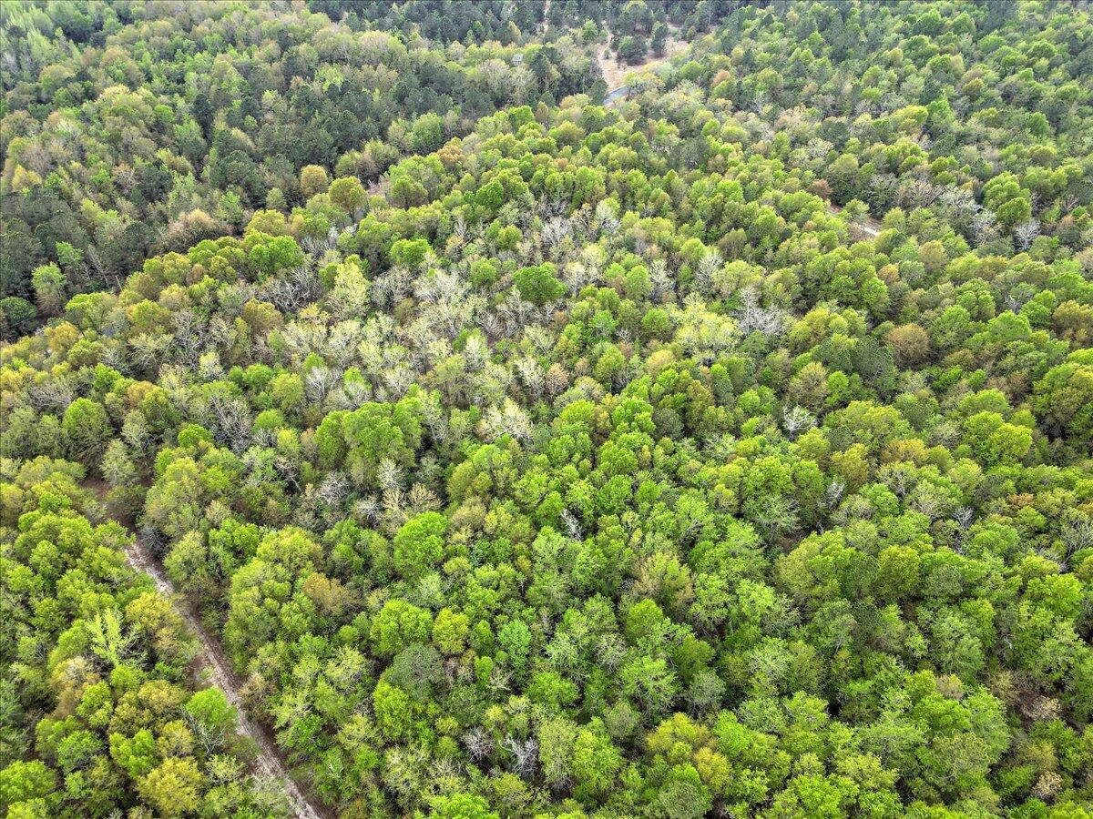 0 Millers Pond Road, Unit LOT 5 Salley, SC 29137 - Photo 12 of 13