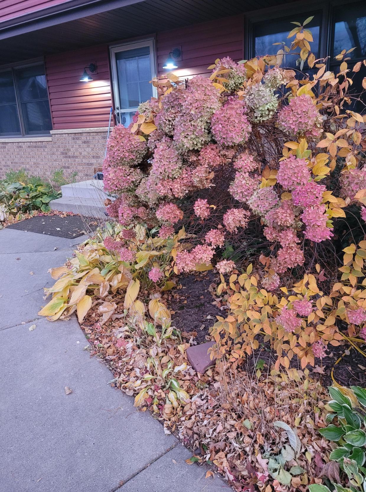 2916 6th Avenue Northwest Rochester, MN 55901 - Photo 51 of 53