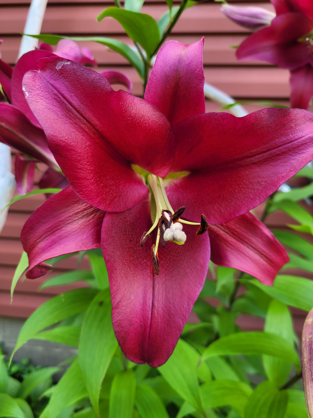 2916 6th Avenue Northwest Rochester, MN 55901 - Photo 52 of 53