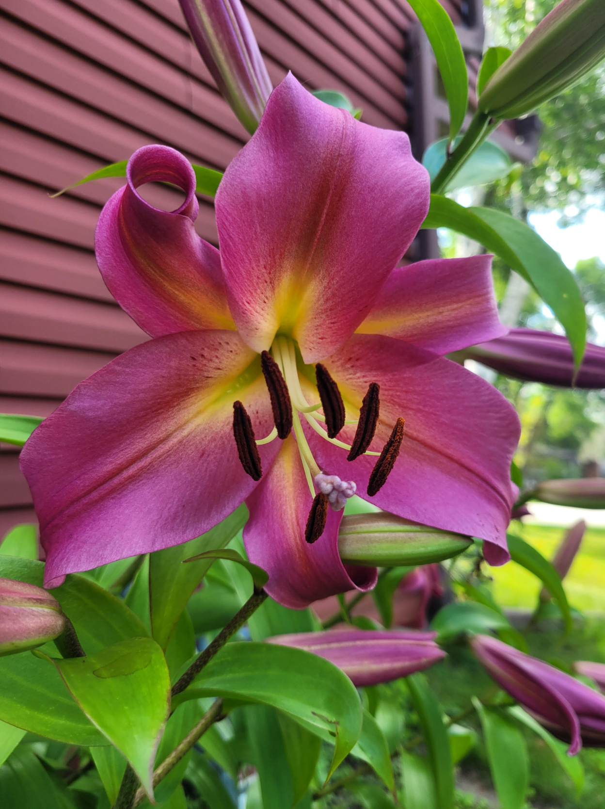 2916 6th Avenue Northwest Rochester, MN 55901 - Photo 53 of 53