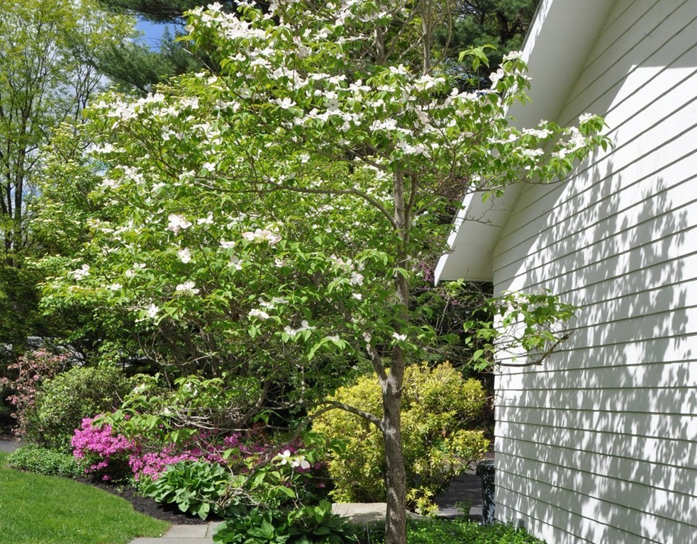 45 Oxbow Road Concord, MA 01742 - Photo 19 of 22 Gallery Image 19