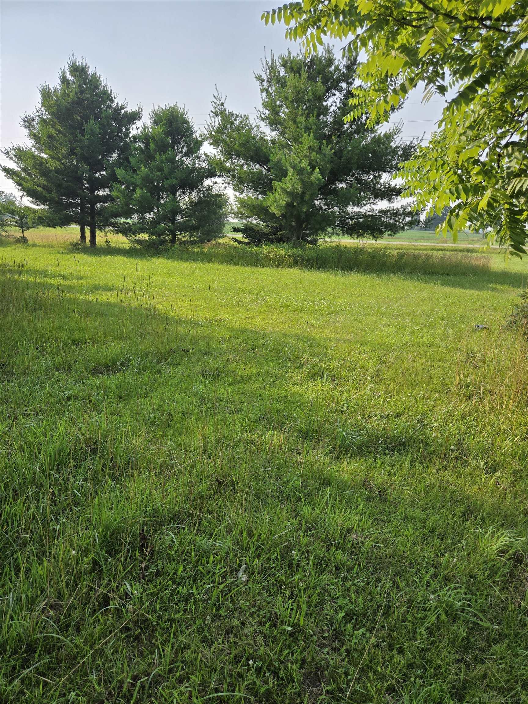 Vl Washington Road Carsonville, MI 48419 - Photo 6 of 8