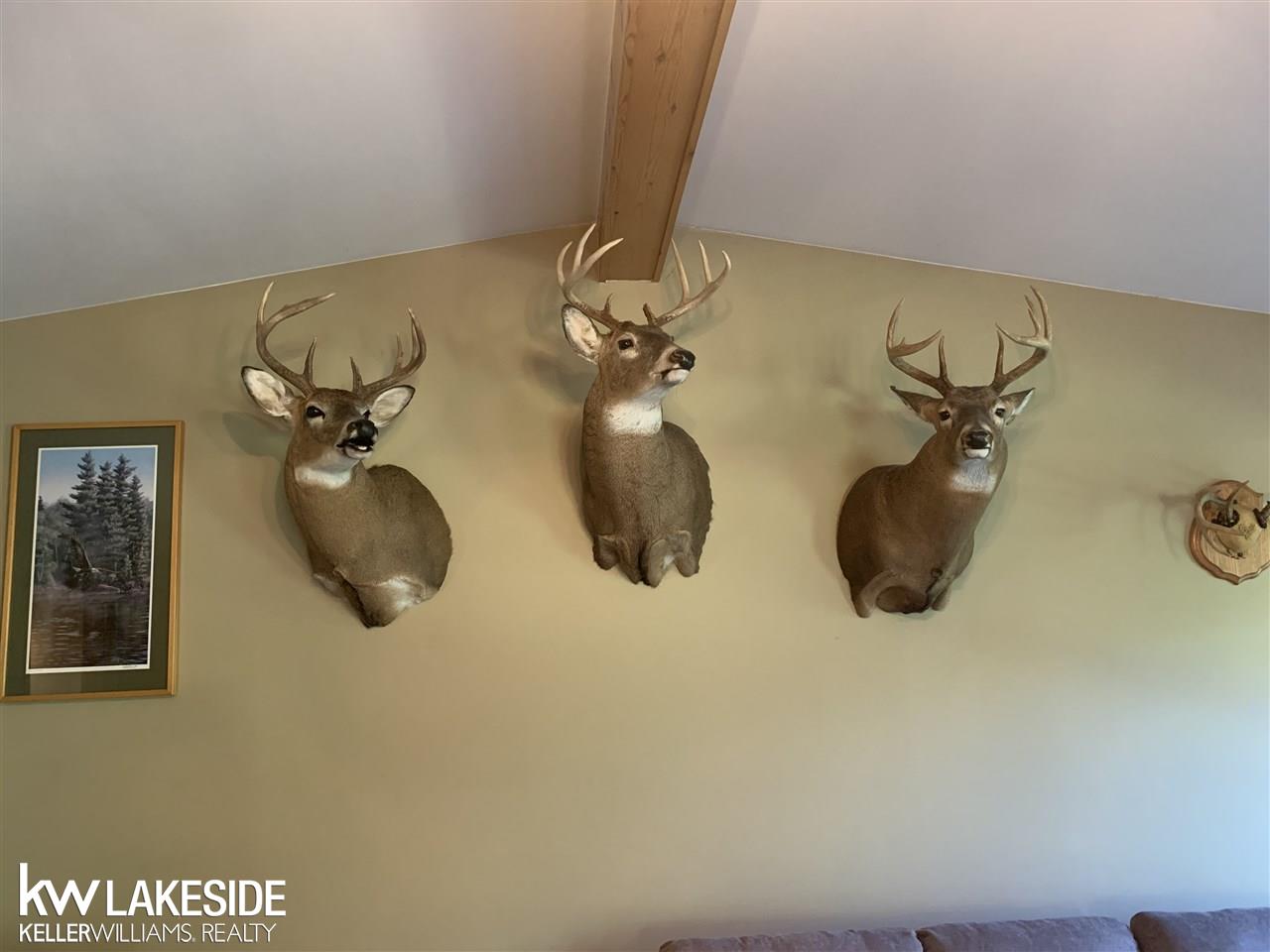 1567 Mack Road Leonard, MI 48367 - Photo 12 of 39 50024144-11.JPG