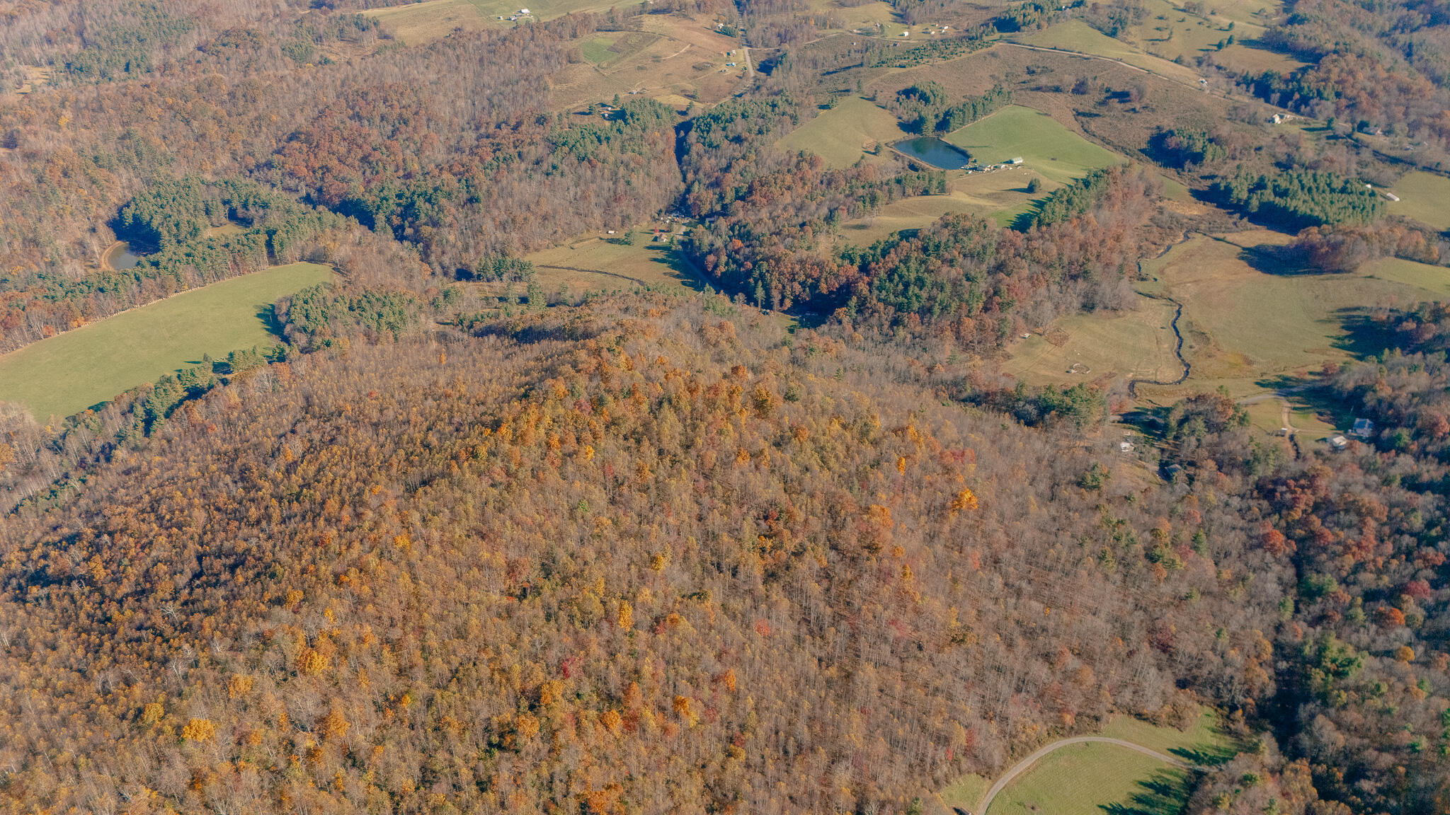 0 Shelor Road Southwest Meadows Of Dan, VA 24120 - Photo 12 of 23 Puin pic 6