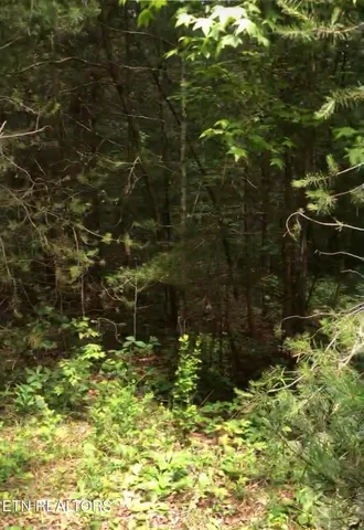 $60,000 | 14 Clear Frk Drive, Jamestown, TN 38556