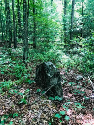 $60,000 | 14 Clear Frk Drive, Jamestown, TN 38556