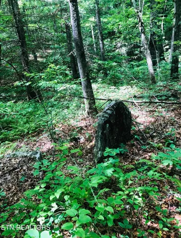 $60,000 | 14 Clear Frk Drive, Jamestown, TN 38556