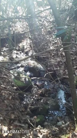 $60,000 | 14 Clear Frk Drive, Jamestown, TN 38556