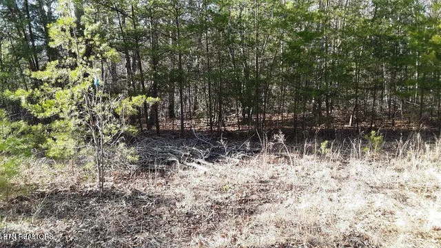 $60,000 | 14 Clear Frk Drive, Jamestown, TN 38556