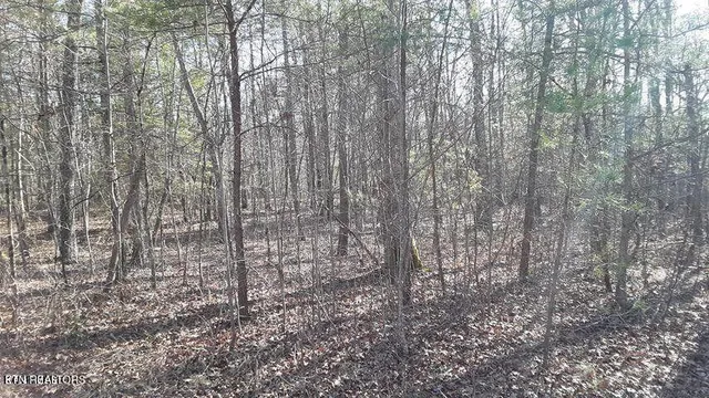 $60,000 | 14 Clear Frk Drive, Jamestown, TN 38556