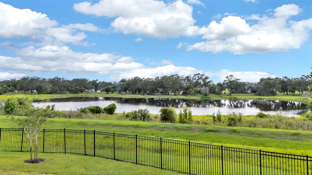 7002 Ripple Pond Loop Zephyrhills, FL 33541 - Photo 40 of 54 Gallery Image 40